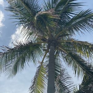 Meet your Posher, Melinda